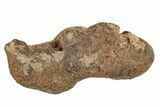 Agoudal Iron Meteorites (4-6 grams) - Morocco - Photo 2